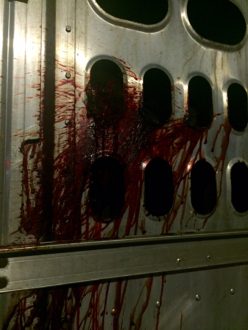 transport_cruelty_2016