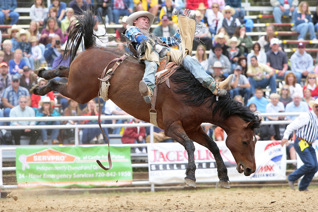 bronc riding