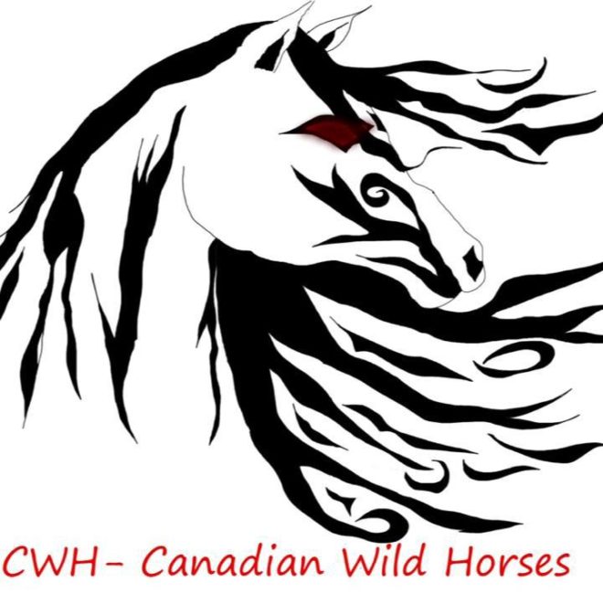 Canadian Wild Horses Foundation