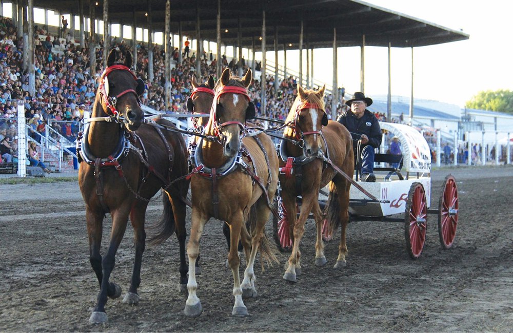 Chuckwagon_GWichers_july2019